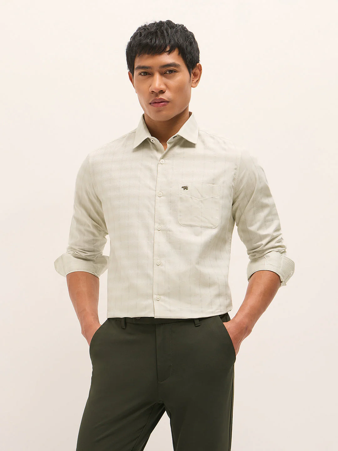 Men Light Green Woven Stripe Tailored Fit Formal Shirt